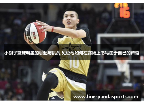 小胡子篮球明星的崛起与挑战 见证他如何在赛场上书写属于自己的传奇